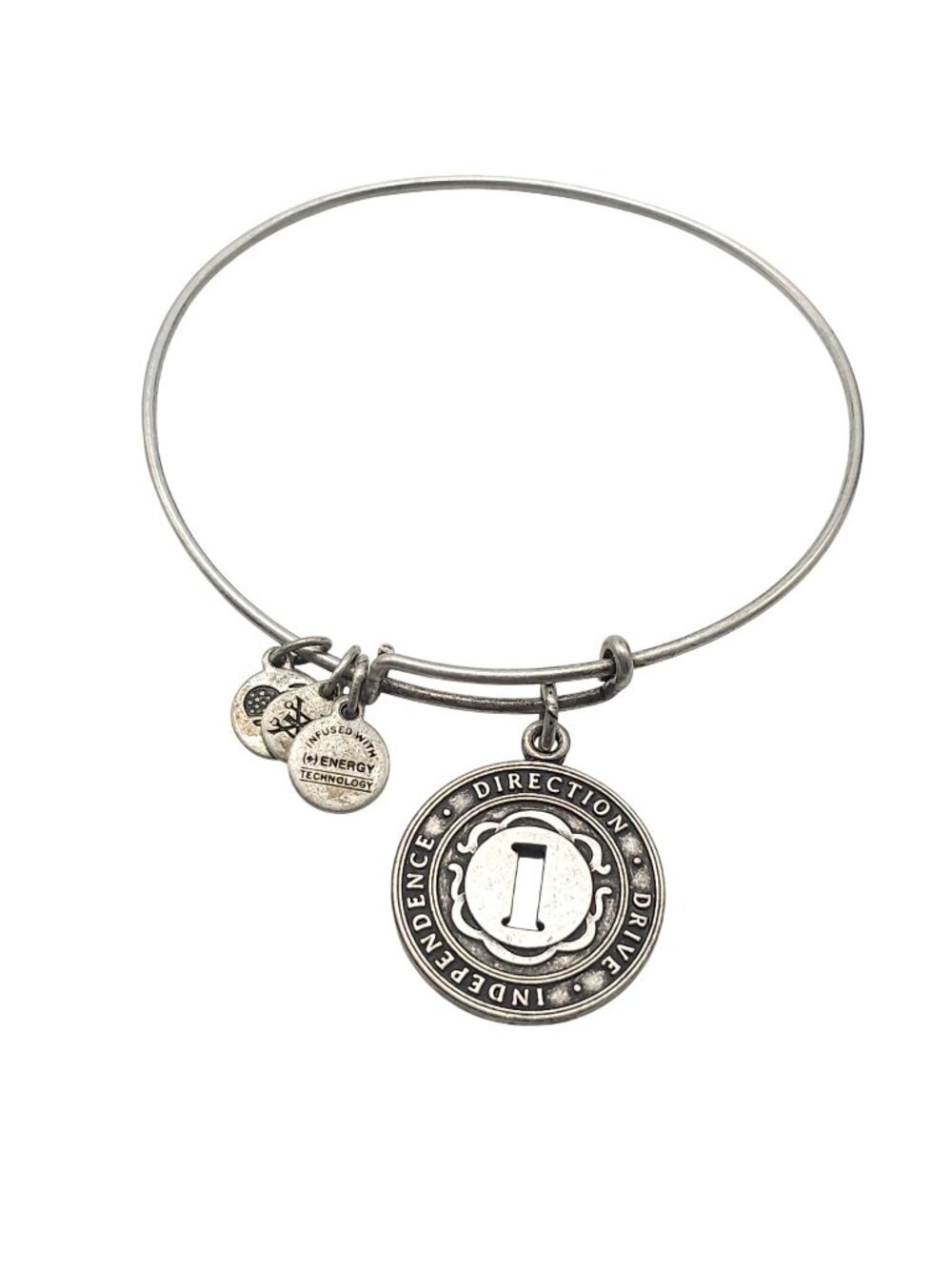 Alex And Ani Silver Direction Drive Independence Charm Bangle Bracelet